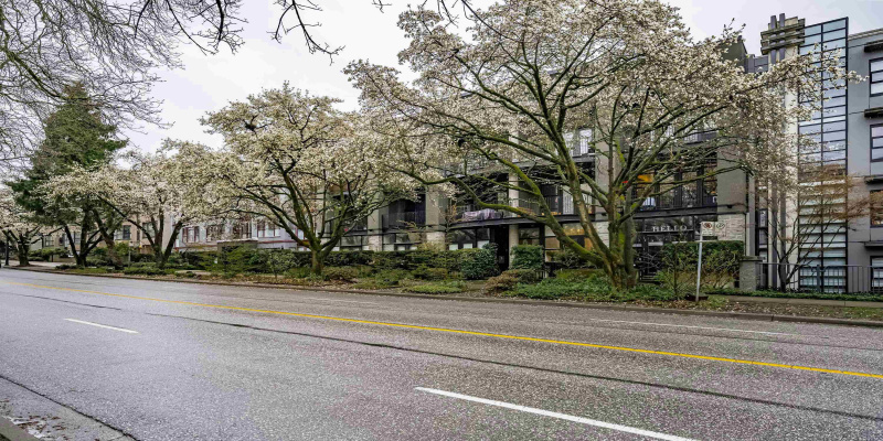 Even on a rainy Spring day the trees along West 12th Avenue showcase this ever popular Kitsilano neighbourhood!